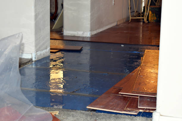 Professional Sewage Cleanup technician working in Aurora, IN